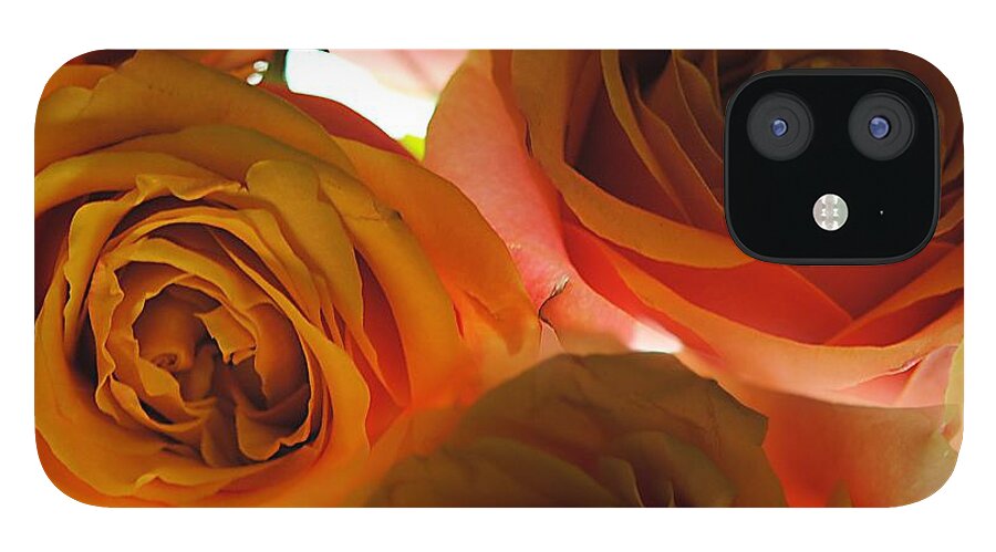 Pastel Pink and Orange Roses on White - Phone Case