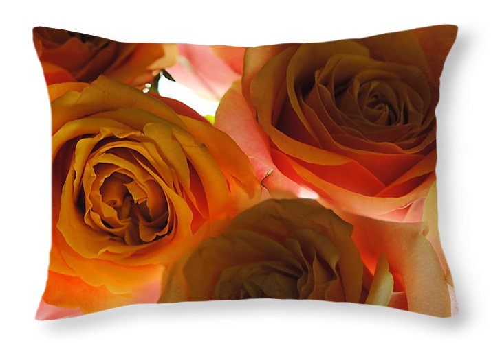 Pastel Pink and Orange Roses on White - Throw Pillow