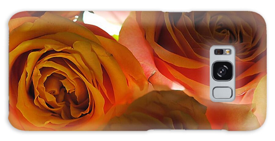 Pastel Pink and Orange Roses on White - Phone Case
