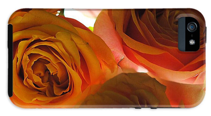 Pastel Pink and Orange Roses on White - Phone Case