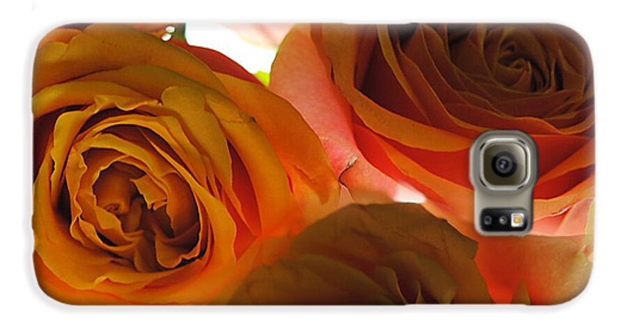 Pastel Pink and Orange Roses on White - Phone Case