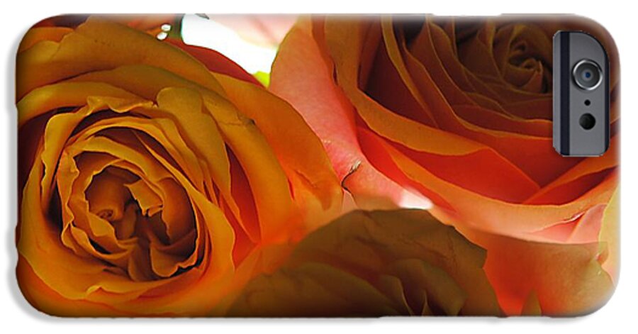 Pastel Pink and Orange Roses on White - Phone Case