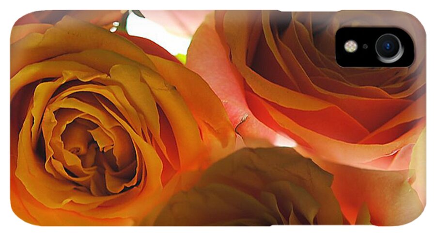 Pastel Pink and Orange Roses on White - Phone Case
