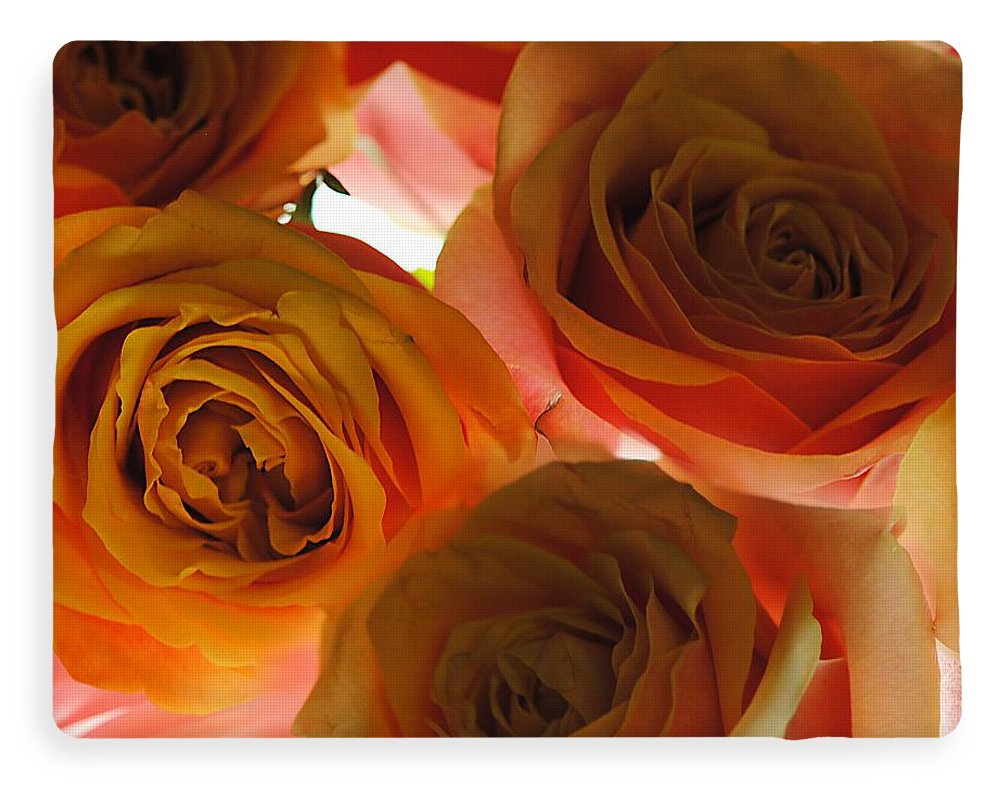 Pastel Pink and Orange Roses on White - Blanket