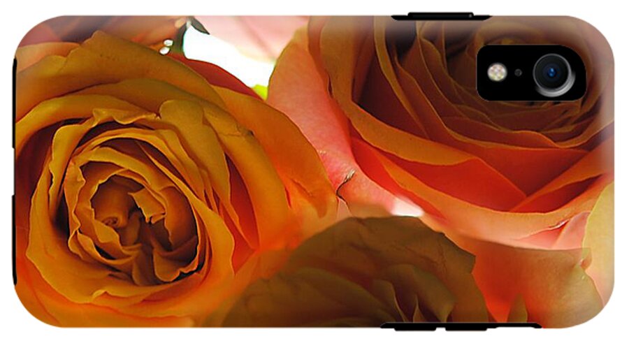 Pastel Pink and Orange Roses on White - Phone Case