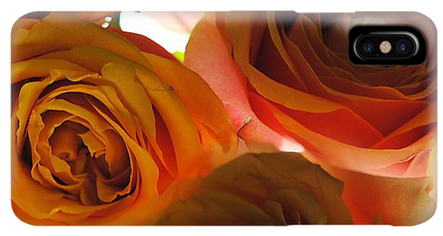 Pastel Pink and Orange Roses on White - Phone Case