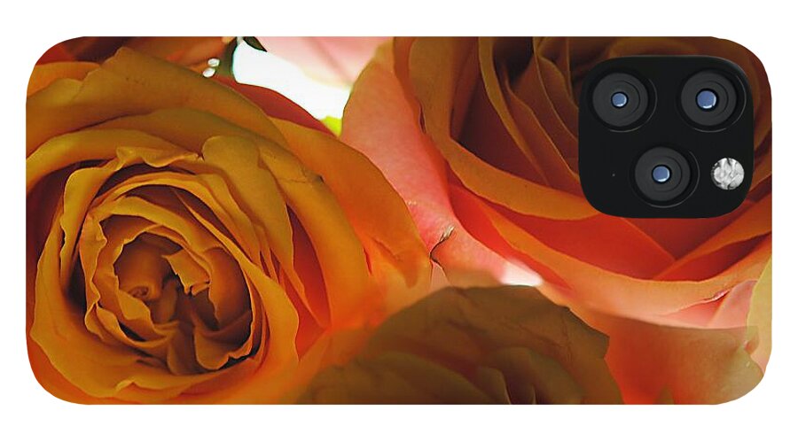 Pastel Pink and Orange Roses on White - Phone Case