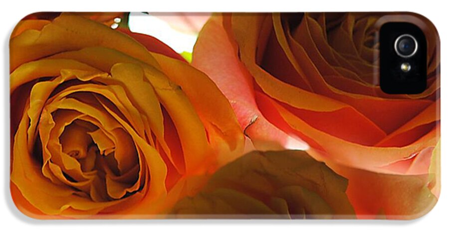 Pastel Pink and Orange Roses on White - Phone Case