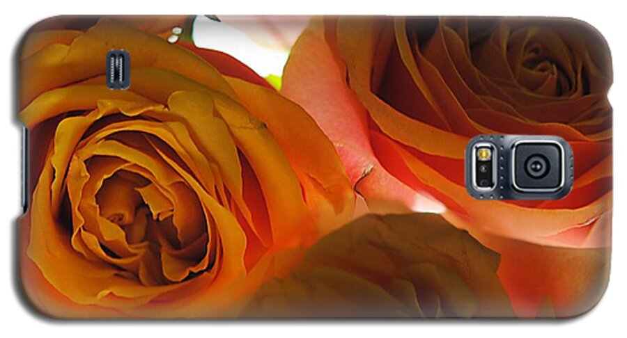 Pastel Pink and Orange Roses on White - Phone Case
