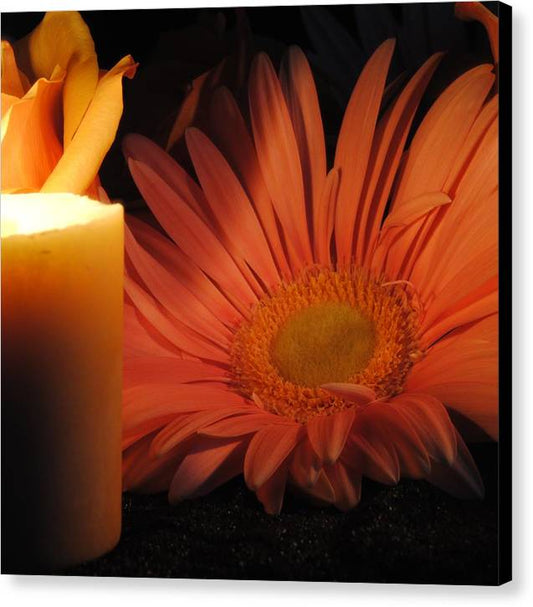 Pastel Pink Daisy With Candle - Canvas Print