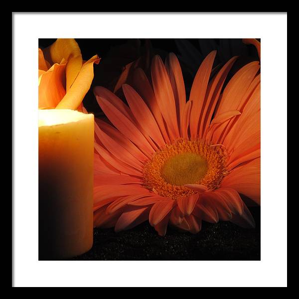 Pastel Pink Daisy With Candle - Framed Print
