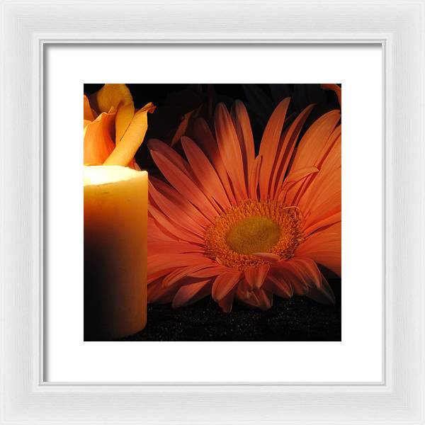 Pastel Pink Daisy With Candle - Framed Print