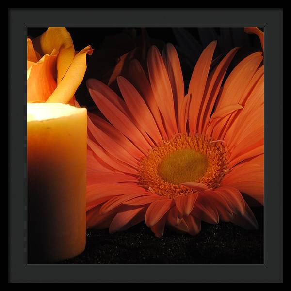 Pastel Pink Daisy With Candle - Framed Print