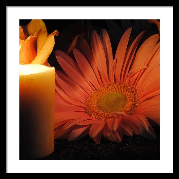 Pastel Pink Daisy With Candle - Framed Print