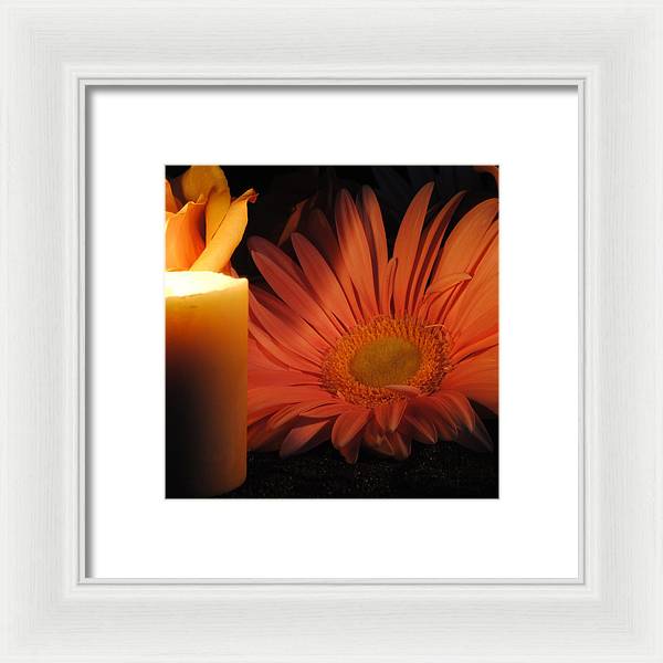 Pastel Pink Daisy With Candle - Framed Print