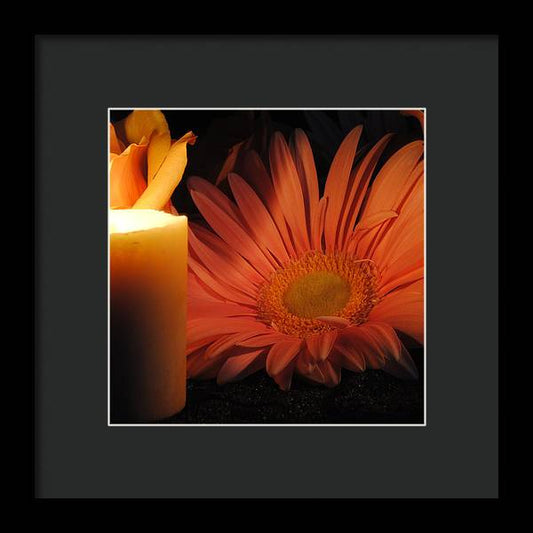 Pastel Pink Daisy With Candle - Framed Print