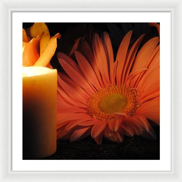 Pastel Pink Daisy With Candle - Framed Print