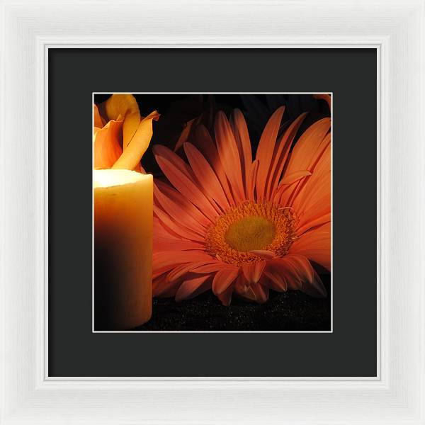 Pastel Pink Daisy With Candle - Framed Print