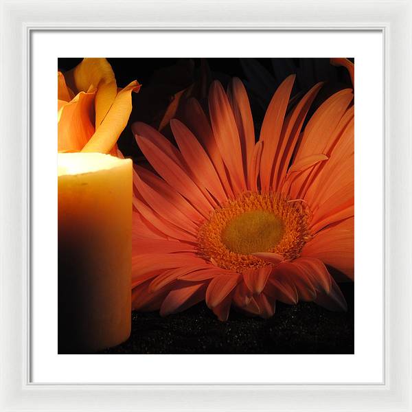 Pastel Pink Daisy With Candle - Framed Print