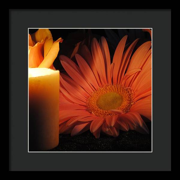 Pastel Pink Daisy With Candle - Framed Print