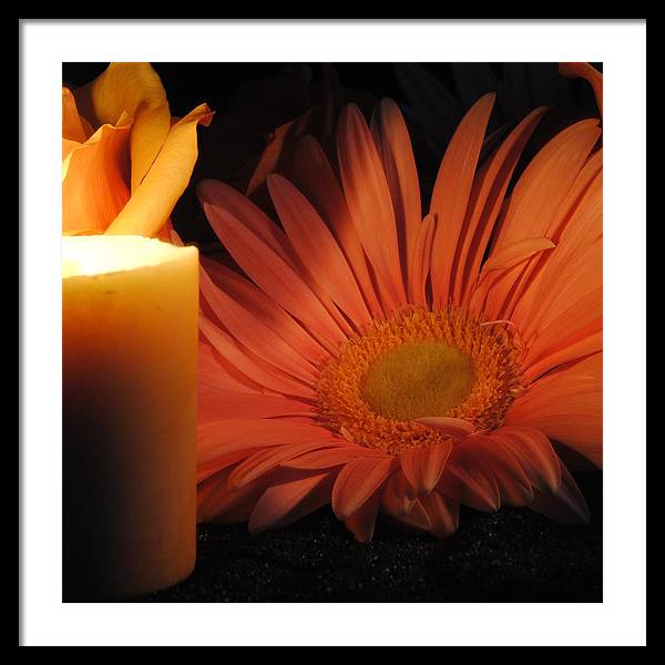 Pastel Pink Daisy With Candle - Framed Print