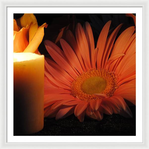 Pastel Pink Daisy With Candle - Framed Print