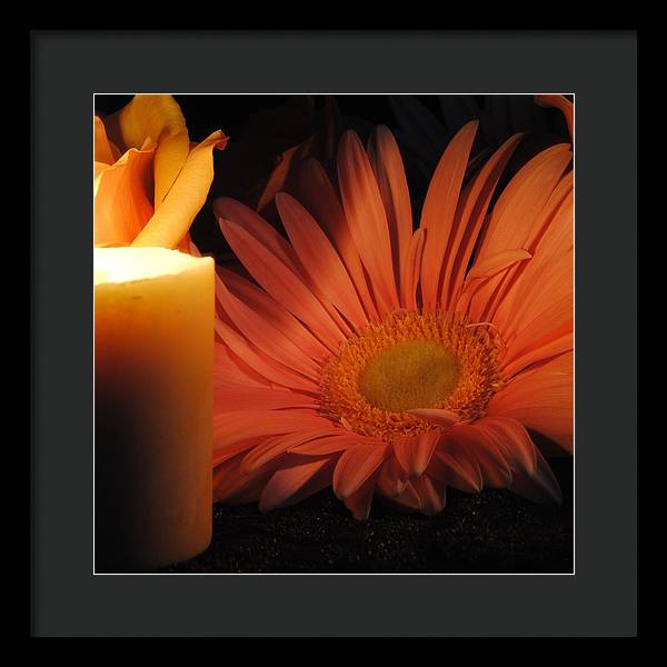 Pastel Pink Daisy With Candle - Framed Print