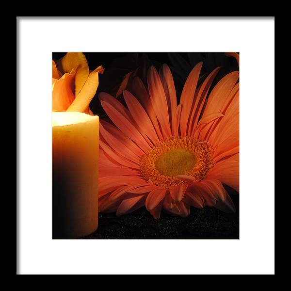 Pastel Pink Daisy With Candle - Framed Print