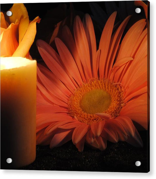 Pastel Pink Daisy With Candle - Acrylic Print
