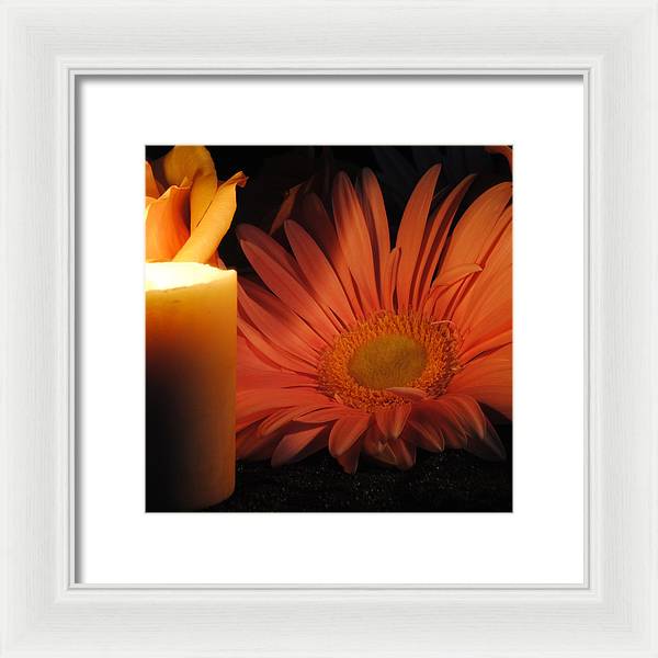 Pastel Pink Daisy With Candle - Framed Print