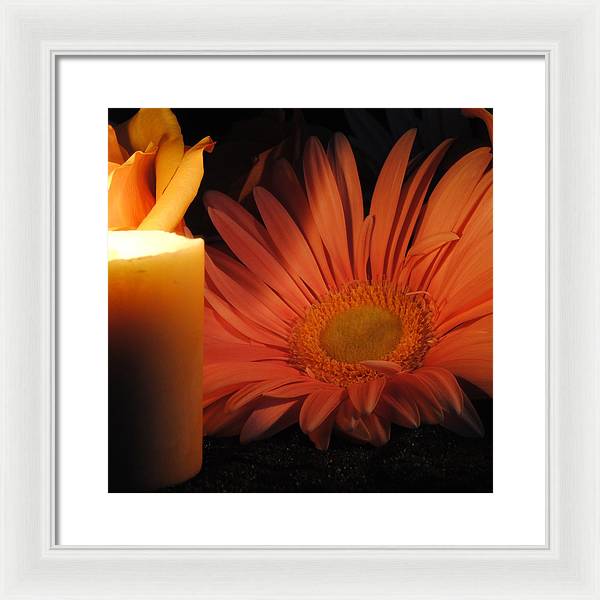 Pastel Pink Daisy With Candle - Framed Print