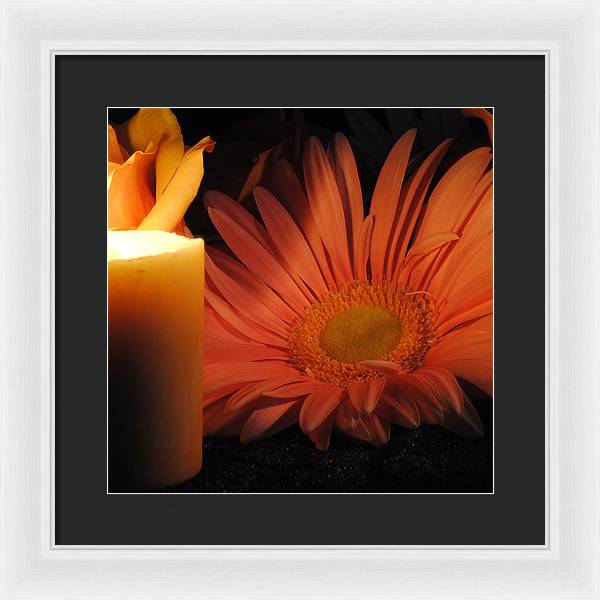 Pastel Pink Daisy With Candle - Framed Print