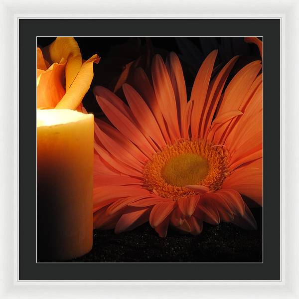 Pastel Pink Daisy With Candle - Framed Print