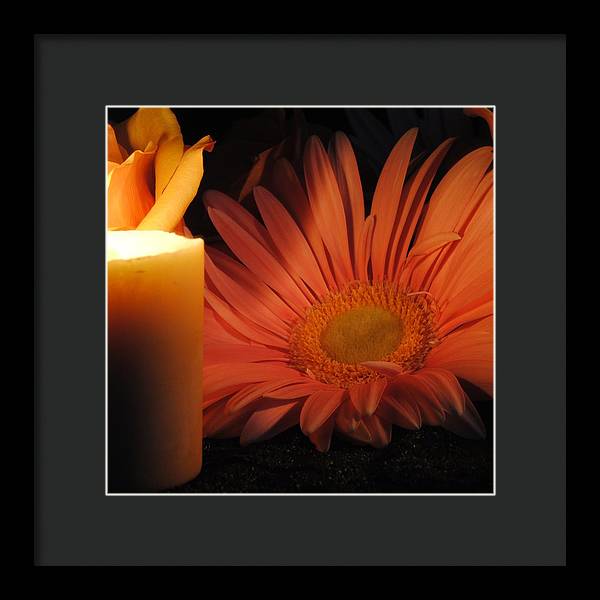 Pastel Pink Daisy With Candle - Framed Print