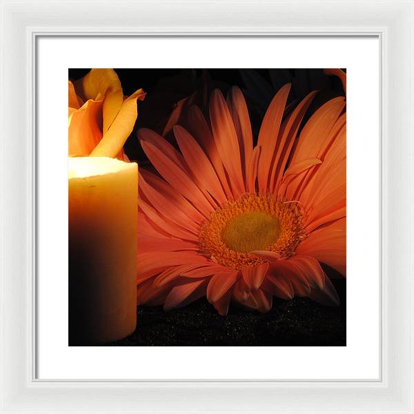 Pastel Pink Daisy With Candle - Framed Print