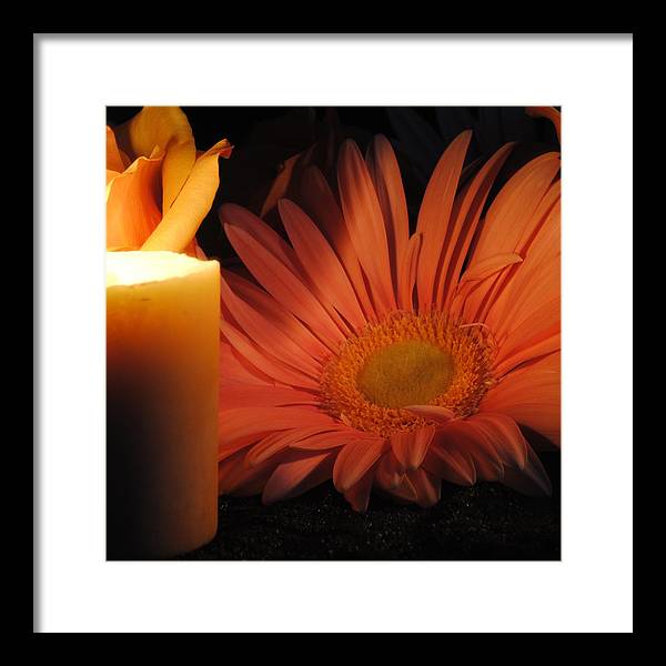 Pastel Pink Daisy With Candle - Framed Print
