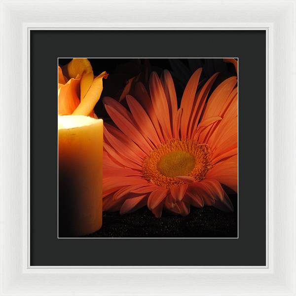 Pastel Pink Daisy With Candle - Framed Print
