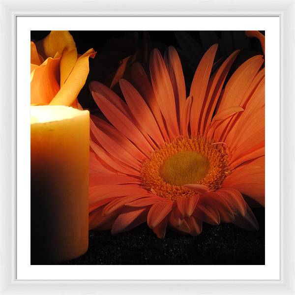 Pastel Pink Daisy With Candle - Framed Print