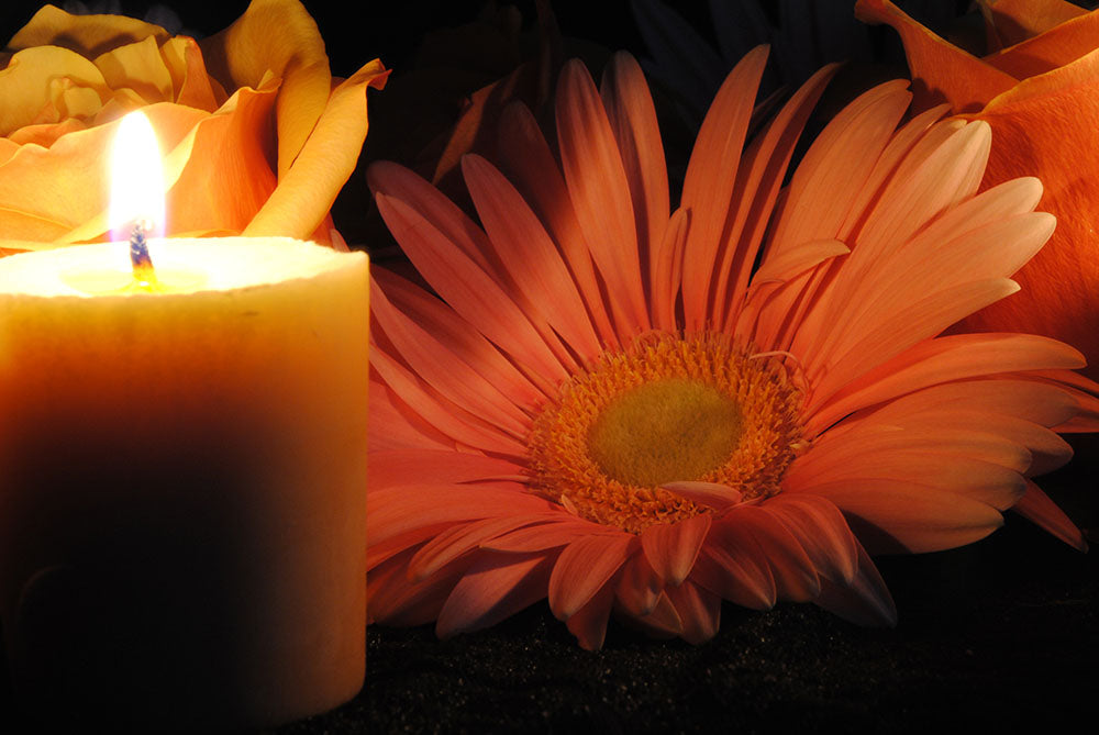 Pastel Pink Daisy With Candle Digital Image Download