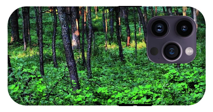 Patchy Sunlight in The Woods - Phone Case