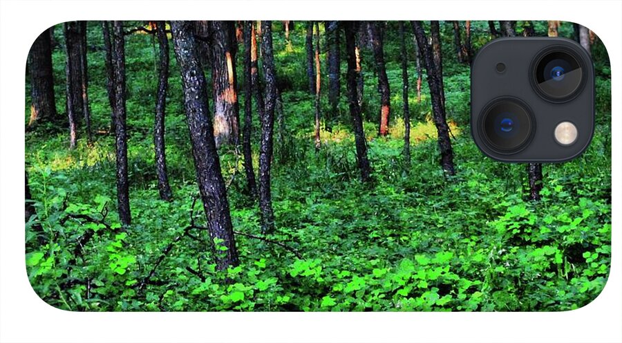 Patchy Sunlight in The Woods - Phone Case