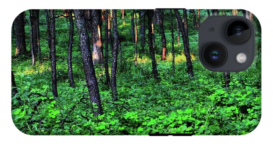 Patchy Sunlight in The Woods - Phone Case