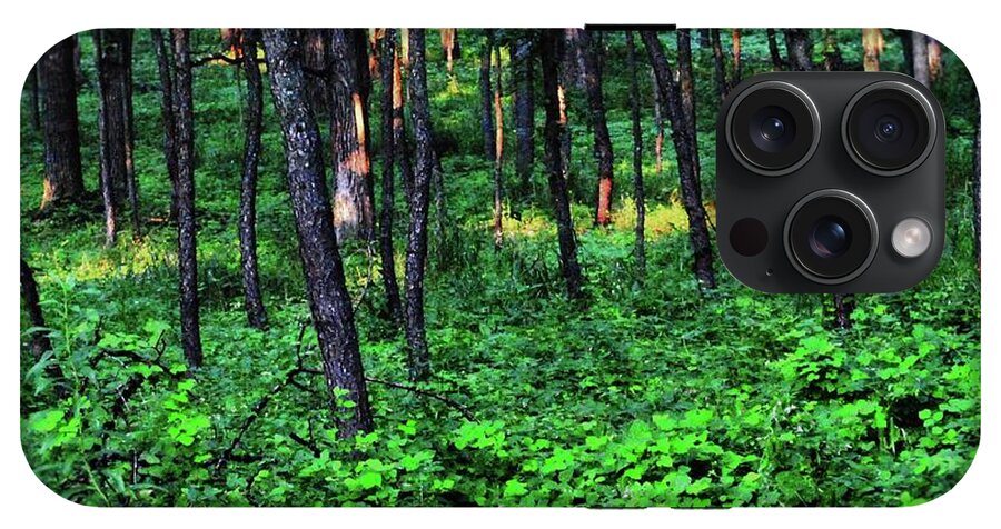 Patchy Sunlight in The Woods - Phone Case