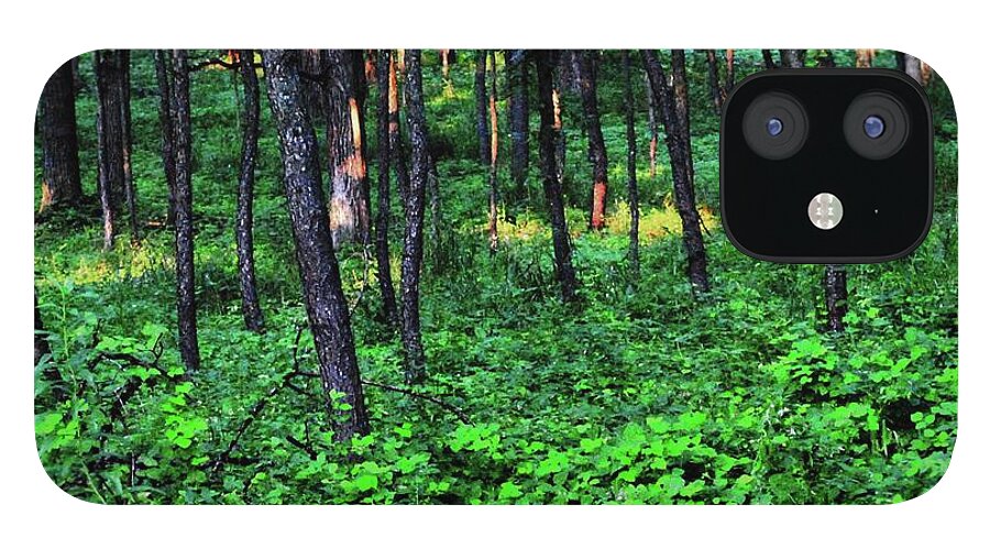Patchy Sunlight in The Woods - Phone Case