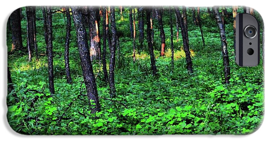 Patchy Sunlight in The Woods - Phone Case