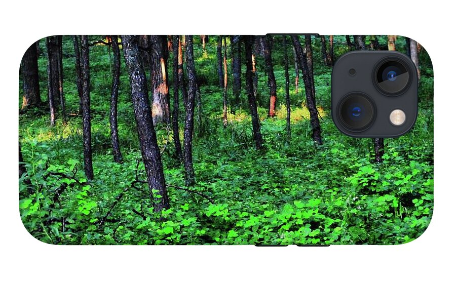 Patchy Sunlight in The Woods - Phone Case