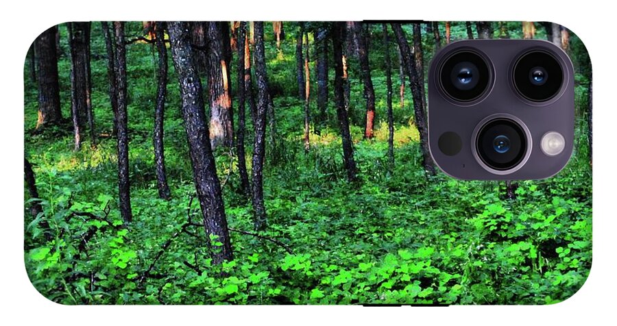 Patchy Sunlight in The Woods - Phone Case