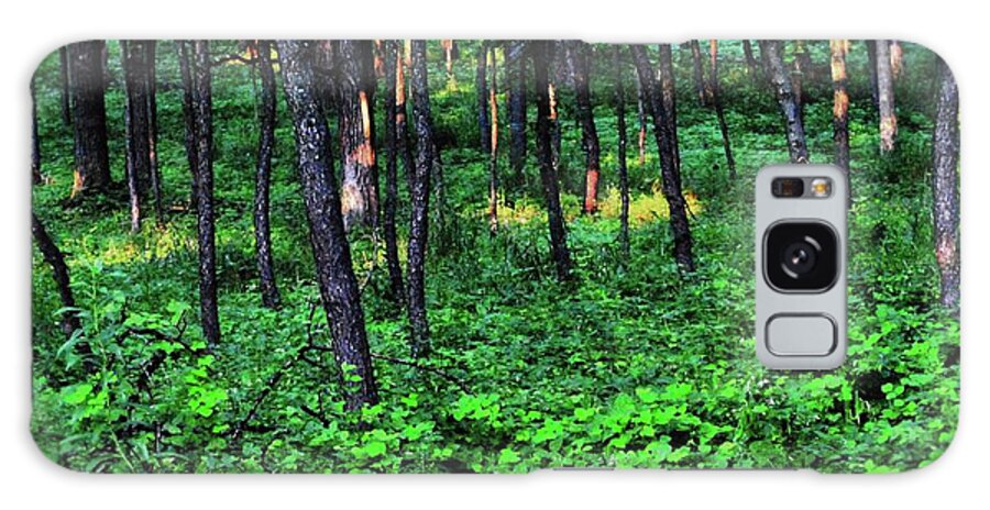 Patchy Sunlight in The Woods - Phone Case