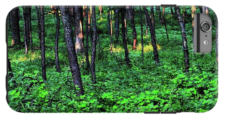 Patchy Sunlight in The Woods - Phone Case