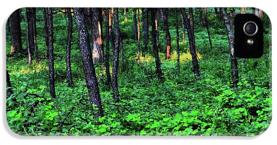 Patchy Sunlight in The Woods - Phone Case